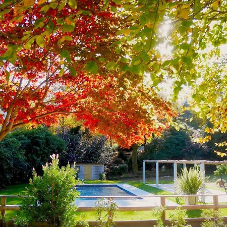 ميرجوزو Eco-Resort Parco Botanico Fiorlago المظهر الخارجي الصورة