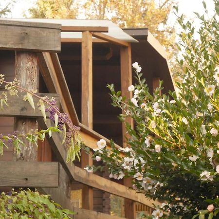ميرجوزو Eco-Resort Parco Botanico Fiorlago المظهر الخارجي الصورة