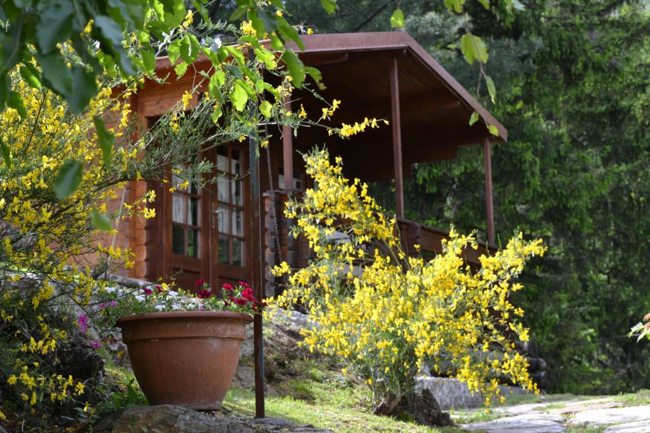 ميرجوزو Eco-Resort Parco Botanico Fiorlago المظهر الخارجي الصورة